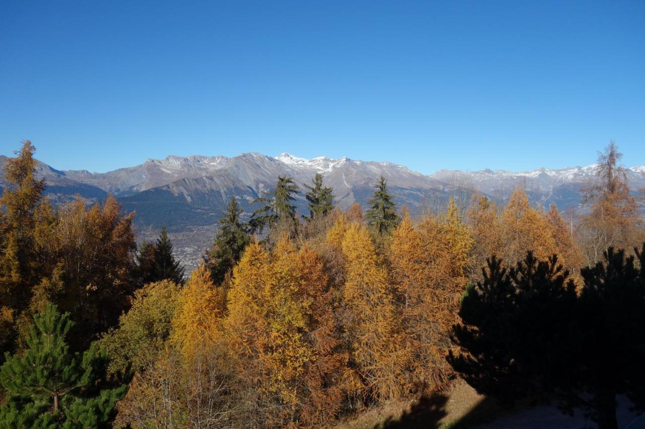 Mayens De L'Ours Mountain & Center Apartments By Alpvision Residences Les Les Agettes Eksteriør bilde