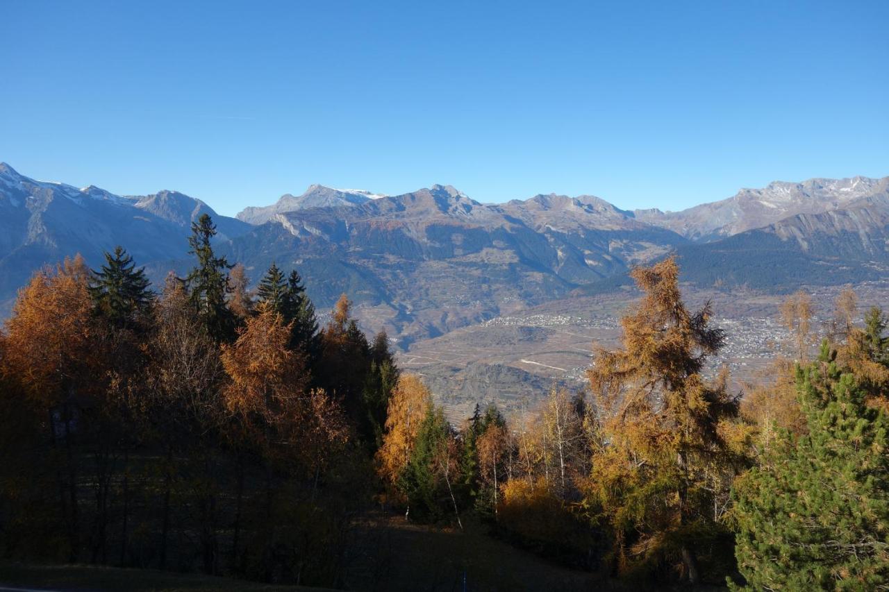 Mayens De L'Ours Mountain & Center Apartments By Alpvision Residences Les Les Agettes Eksteriør bilde