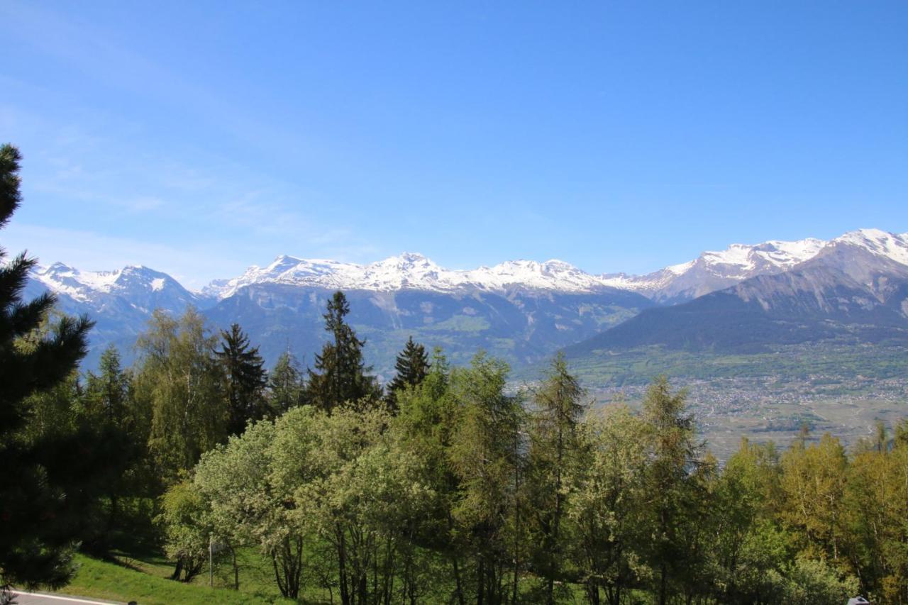 Mayens De L'Ours Mountain & Center Apartments By Alpvision Residences Les Les Agettes Eksteriør bilde