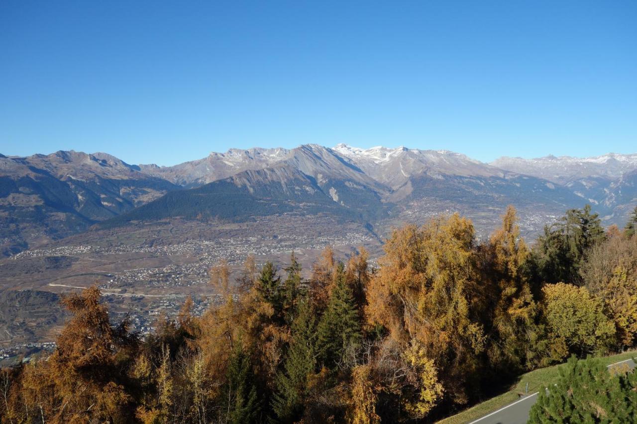 Mayens De L'Ours Mountain & Center Apartments By Alpvision Residences Les Les Agettes Eksteriør bilde